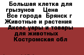 Большая клетка для грызунов  › Цена ­ 500 - Все города, Брянск г. Животные и растения » Аксесcуары и товары для животных   . Костромская обл.